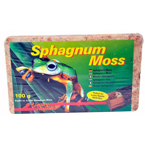 Lucky Reptile Sphagnum moss brick