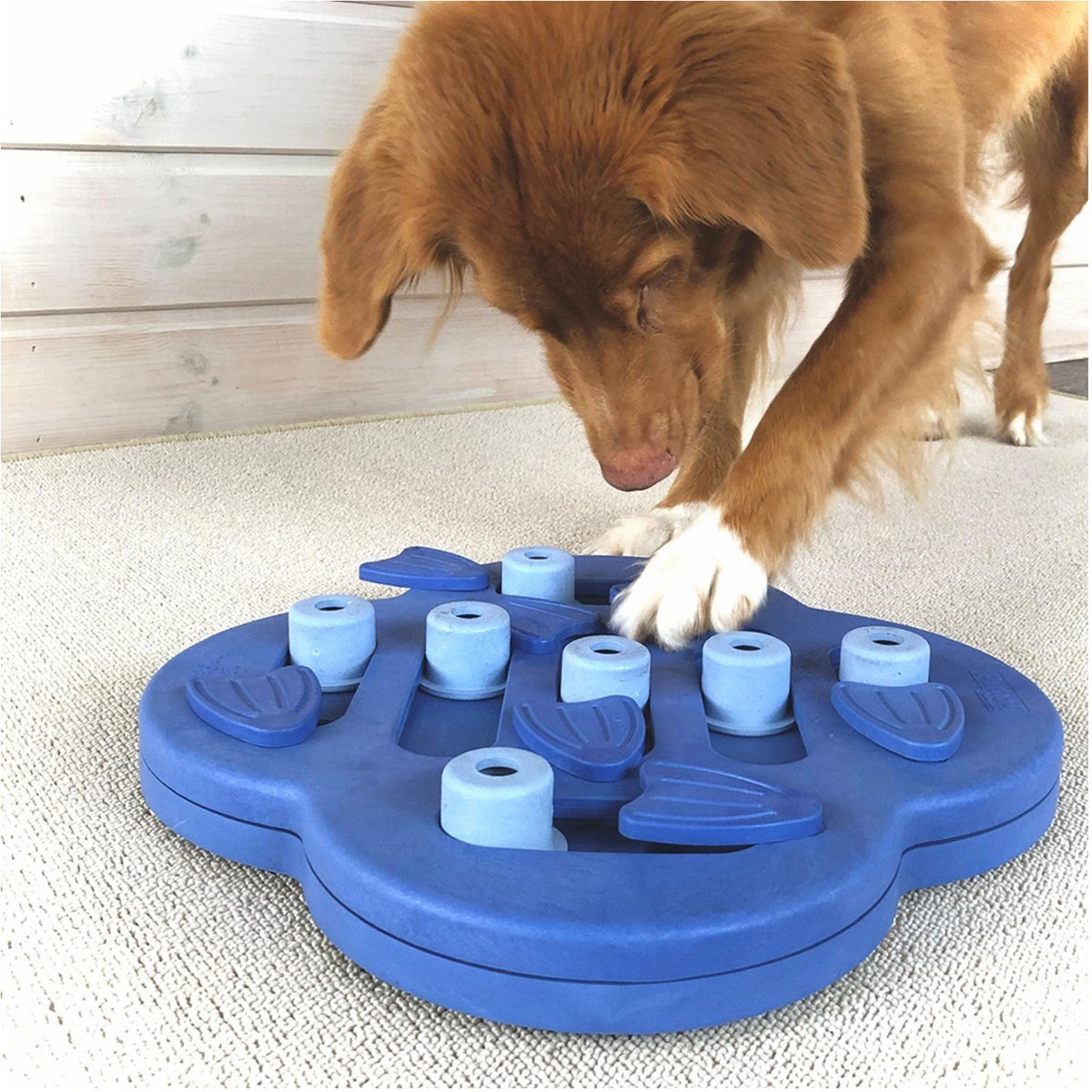 Nina ottosson dog hide n slide composiet 33x33x5 cm