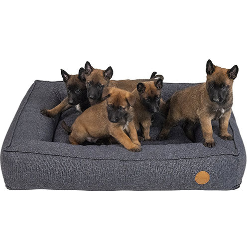 Jack and Vanilla Orthopedisch boxbed in 3 maten