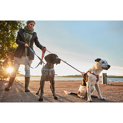 Hurtta harnas Razzle Dazzle H-harnas - hondentuig in verschillende kleuren