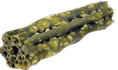 Knash Woofa Loofa Dental M mit Minze und Petersilie – Beutel mit 7 Stück - S oder M