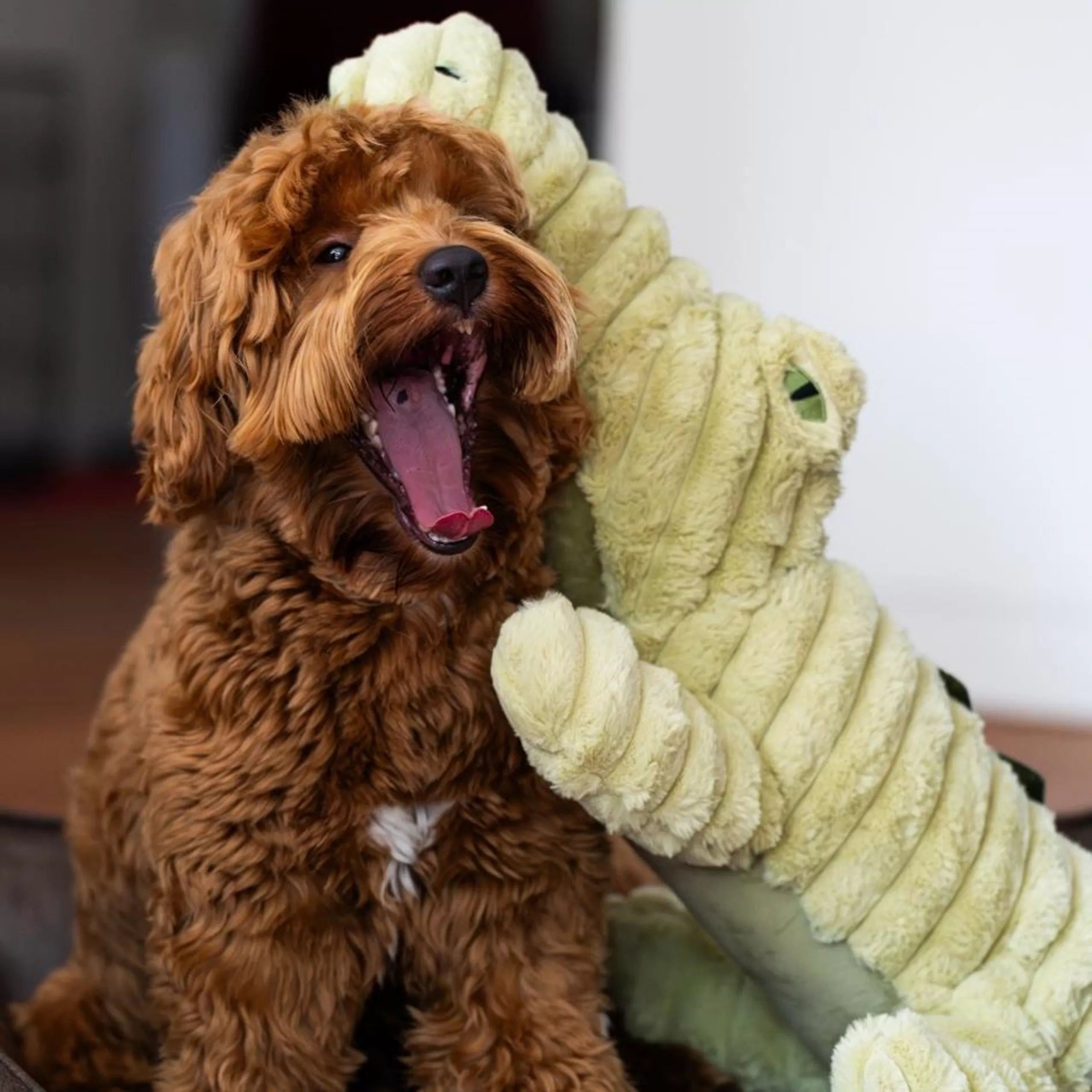 Quapas! hondenspeelgoed met piep en knisper - XXL Alligator 91cm