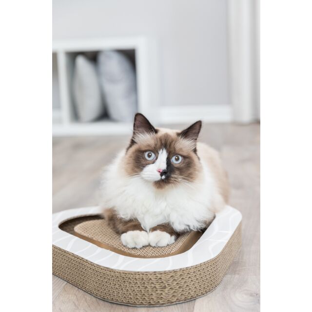 Trixie krabkarton driehoek met balletjes