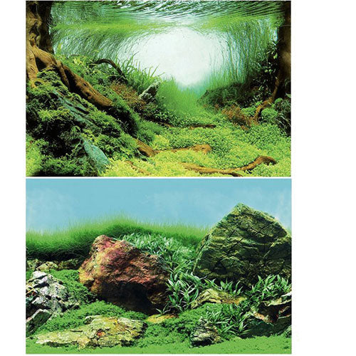 SuperFish Deco Poster Aquascape Plant - Achterwand - 120X49 cm