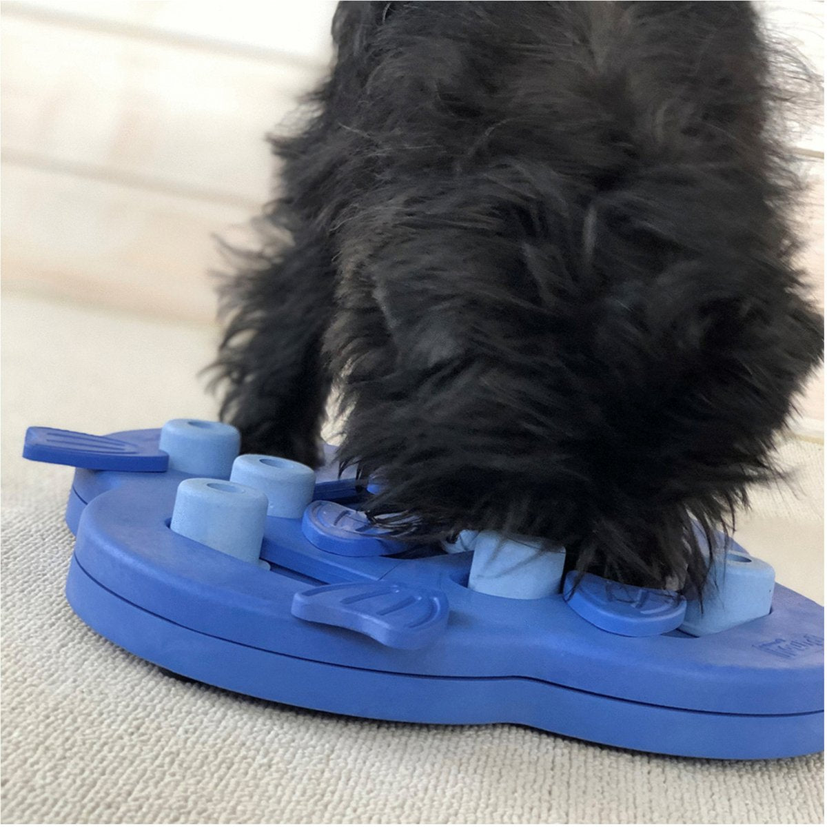 Nina ottosson dog hide n slide composiet 33x33x5 cm