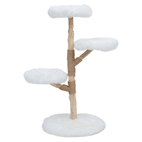 Boony Est1941 krabpaal klimboom Fagus bruin of wit