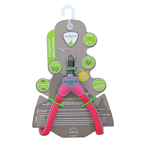 Coralpinia Minigeschirre Cinquetorri nur für sehr kleine Rassen