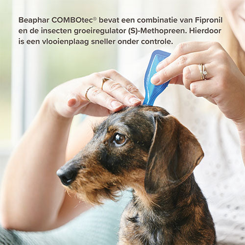 Beaphar COMBOtec® Spot-On Hond - Pipetten tegen vlooien, teken en bijtende luizen