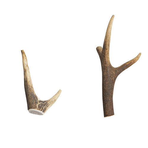 Jack and Vanilla hertengewei XS - S - M - XL