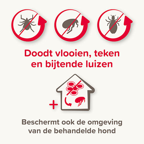 Beaphar COMBOtec® Spot-On Hond - Pipetten tegen vlooien, teken en bijtende luizen