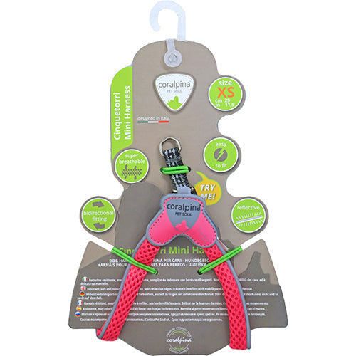 Coralpinia Minigeschirre Cinquetorri nur für sehr kleine Rassen