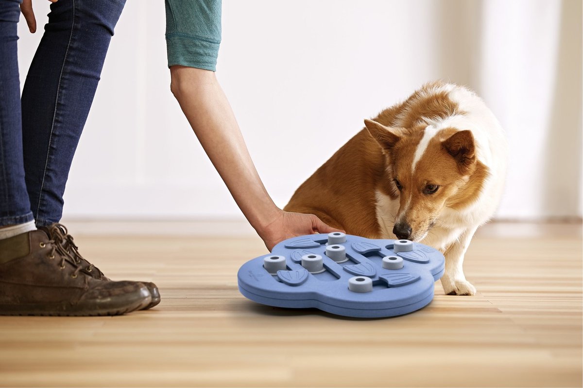 Nina ottosson dog hide n slide composiet 33x33x5 cm