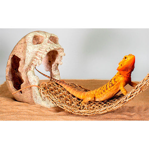 Hangmat met doodskop lizard lounger 30 x 29 x 22 cm