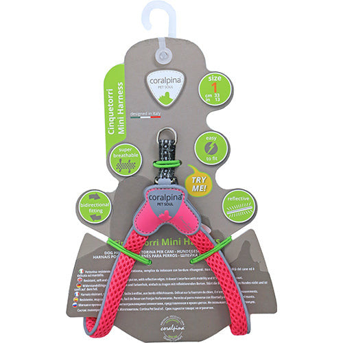 Coralpinia Minigeschirre Cinquetorri nur für sehr kleine Rassen