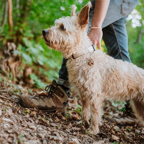 Tickless Ultrasoon Afweermiddel tegen Teken en Vlooien bij Honden - Standaard Versie - Verkrijgbaar in verschillende varianten