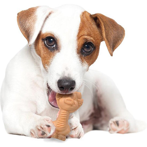 Nylabone Extreme Chew Pig Bacon Kauwspeelgoed - Small Voor Honden Tot 11kg