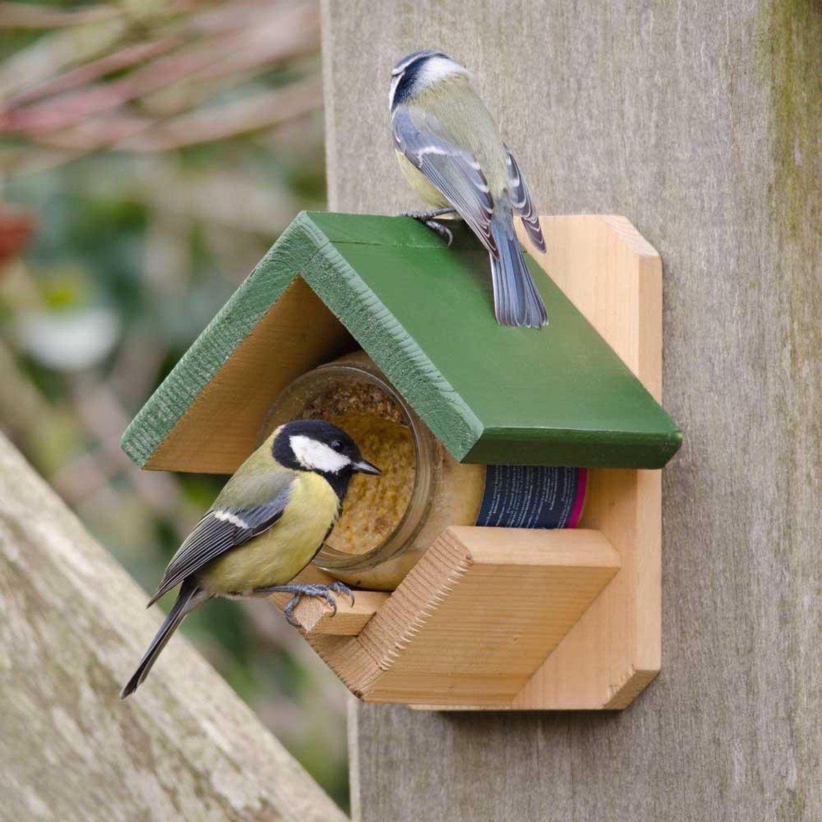Vogelfutterhaus aus Erdnussbutterglas – Grün/Braun