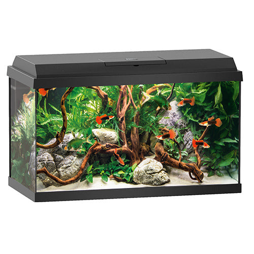 Juwel Primo 70 aquarium - 70 liter - 61 x 31 x 44 cm - wit of zwart