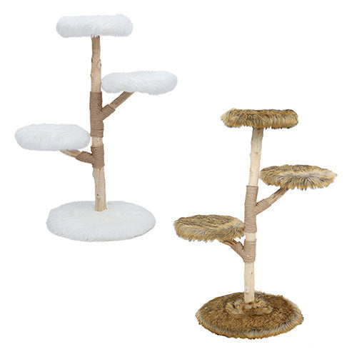 Boony Est1941 krabpaal klimboom Fagus bruin of wit