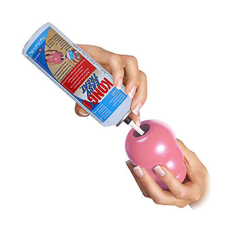 Kauspielzeug für Hundewelpen von Kong