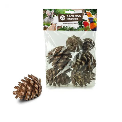 Back Zoo Nature Forest Pine Cones - Dennenappels - 6 stuks