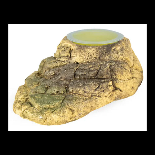 Back Zoo Nature Fruitkuip Houder Stone - Afmetingen: ca. 10 x 6 x 3,5 cm