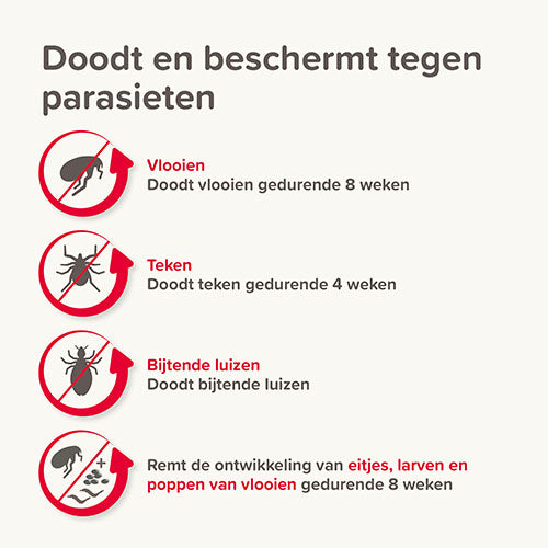 Beaphar COMBOtec® Spot-On Hond - Pipetten tegen vlooien, teken en bijtende luizen