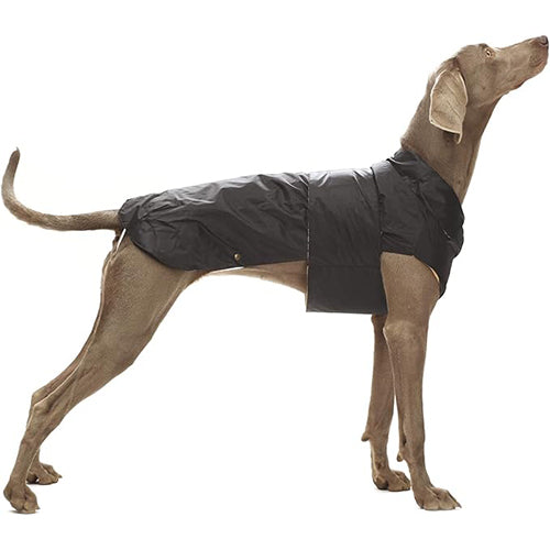 Croci - Hondenjas - Regenjas - Montreal - Kleur: Zwart