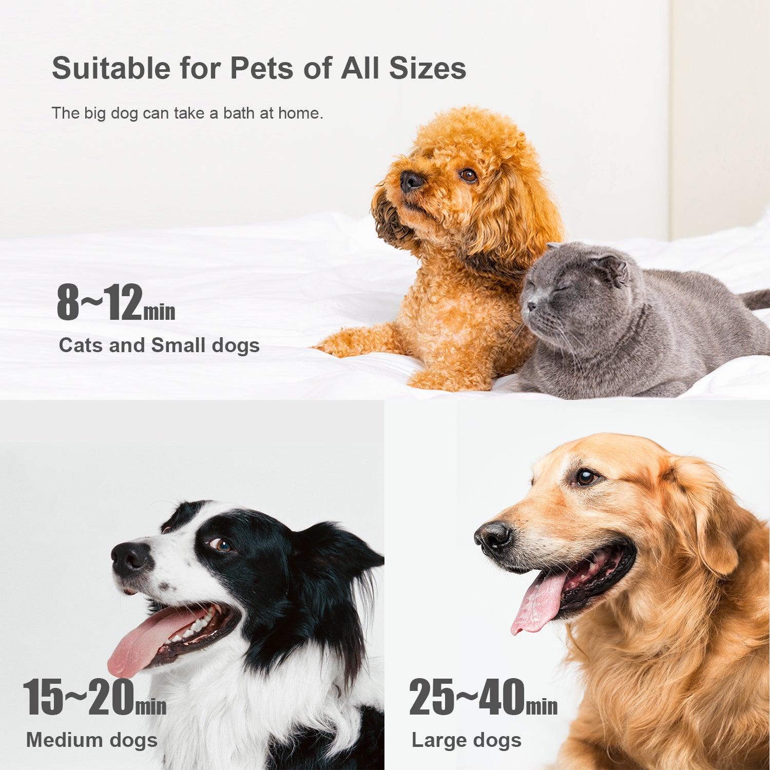 GD. EDI waterblazer - fohn + 4 opzetstukken