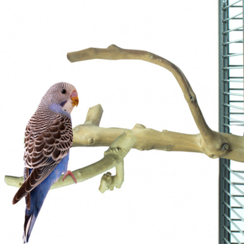 Back Zoo Nature Zitstok Multi Perch Premium X-Small - Geschikt voor: Tropische vogels, kanaries en kleine parkieten