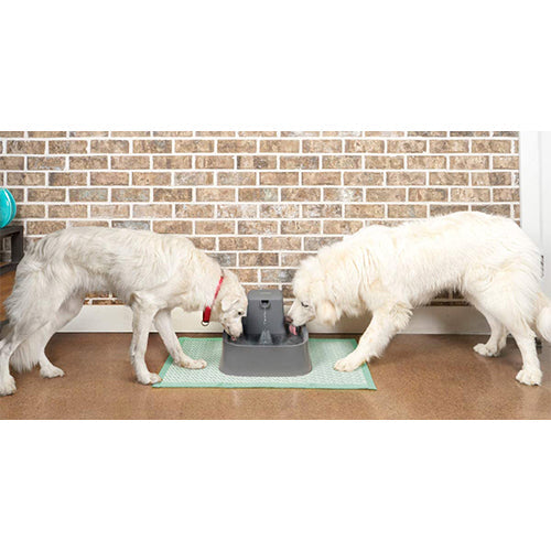 PetSafe Drinkwell drinkfontein, 3,7 liter.