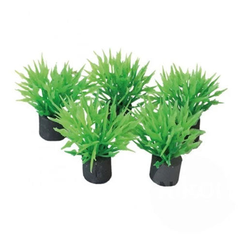 SuperFish Easy Plants Nano Plug 2 cm - 5 stuks
