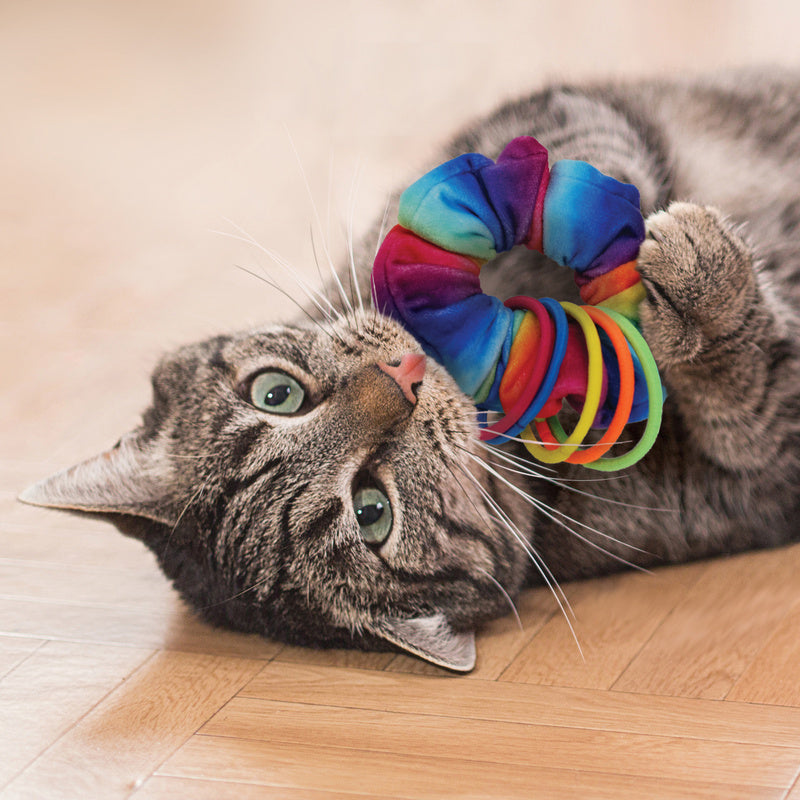 Kong kat active scrunchie met catnip