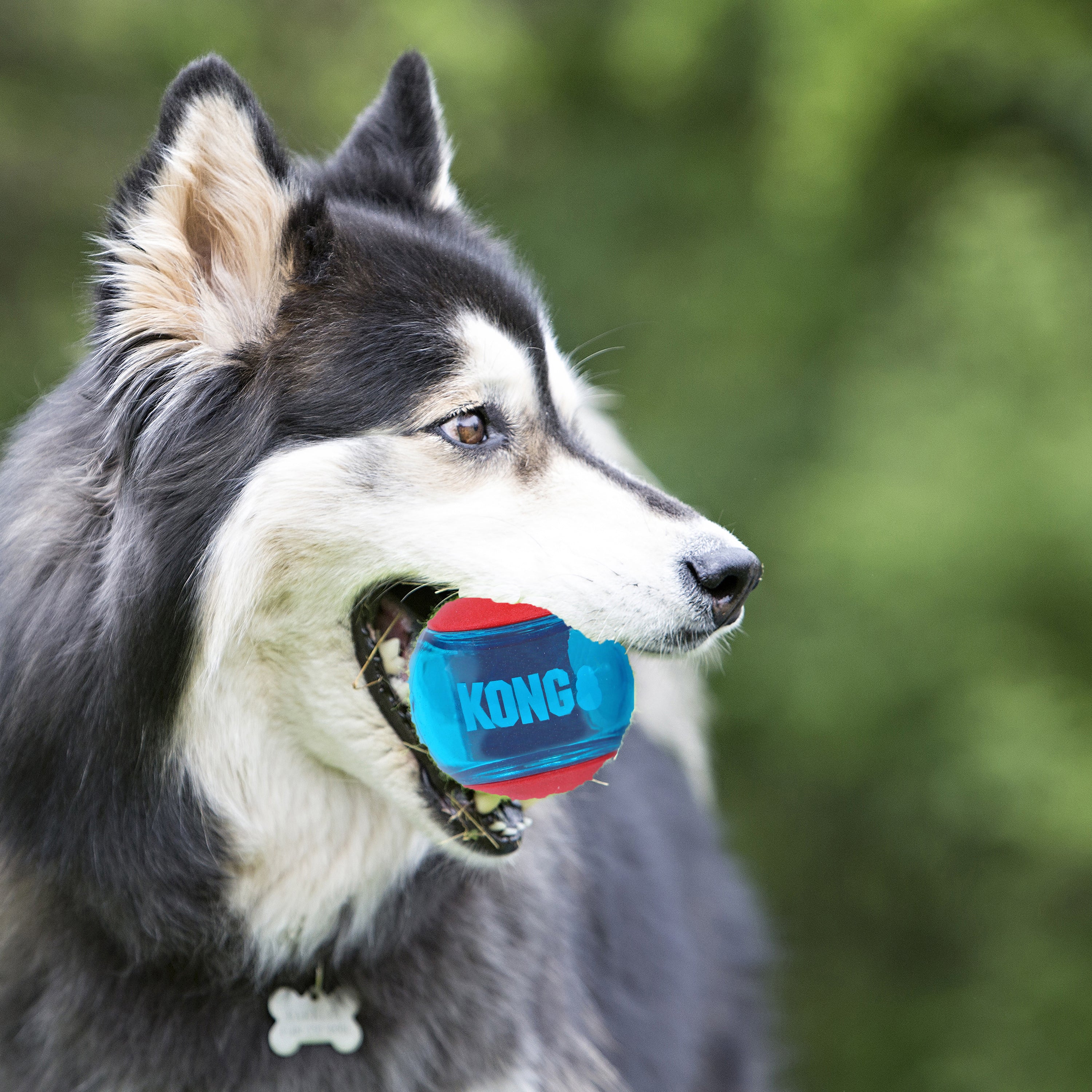 KONG Squeezz Action Honden Bal - Rubber - Rood - L - 8.3 cm