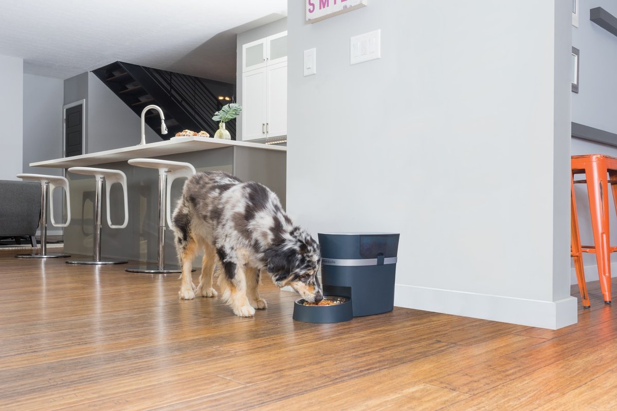 PetSafe® Smart Feed Automatic Pet Feeder - Met Wifi & APP bediening