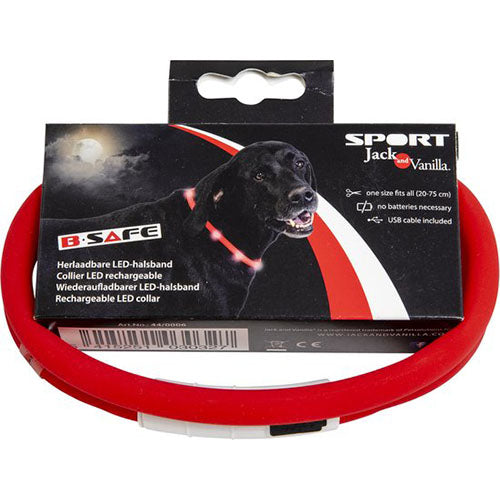 Jack and Vanilla LED-Halsbänder – Erhältlich in 4 Farben