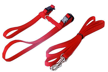 Boony kattentuig nylon met lijn zwart of rood