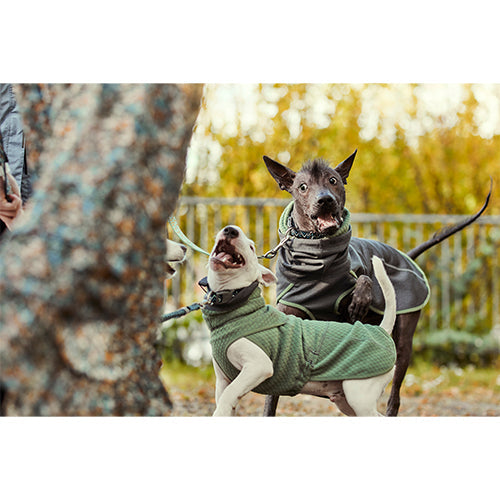 Hurtta hondenjas of onderjas Razzle Dazzle Midlayer tweezijdig