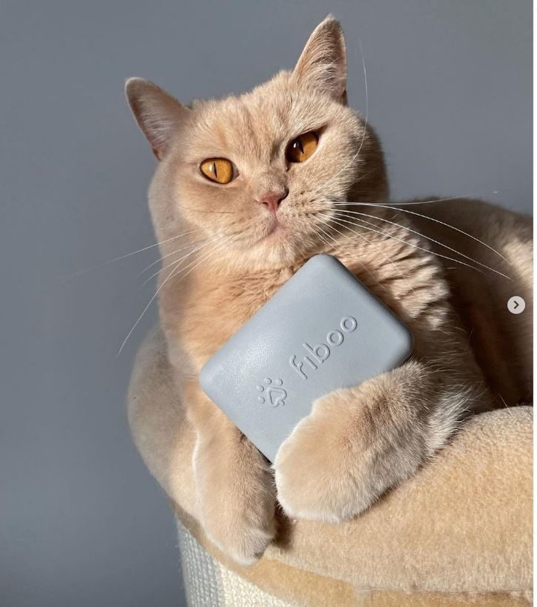 FIBOO – Katzenbürste – Massagebürste – ECO – Harte Ausführung – 9 x 6,4 x 3,8 cm – 1 Stück