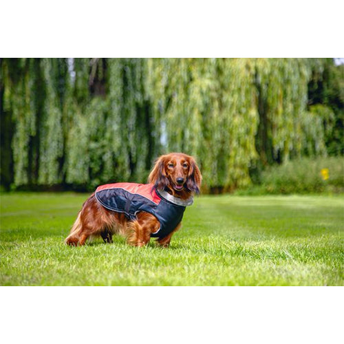 Beeztees Saby Waterproof Hondenjas - Rood/Zwart - Ruglengte: 24 cm