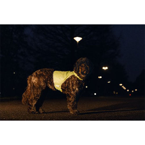 Beeztees Safety Gear Veiligheidsvest Ava - Maat M - Nekomvang: 40 tot 48 cm - Borstomvang: 56 tot 64 cm