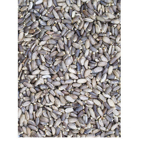 Mariendistelsamen im Beutel 4 - 25 kg