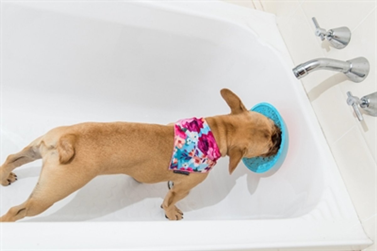 Lickimat Splash Türkis