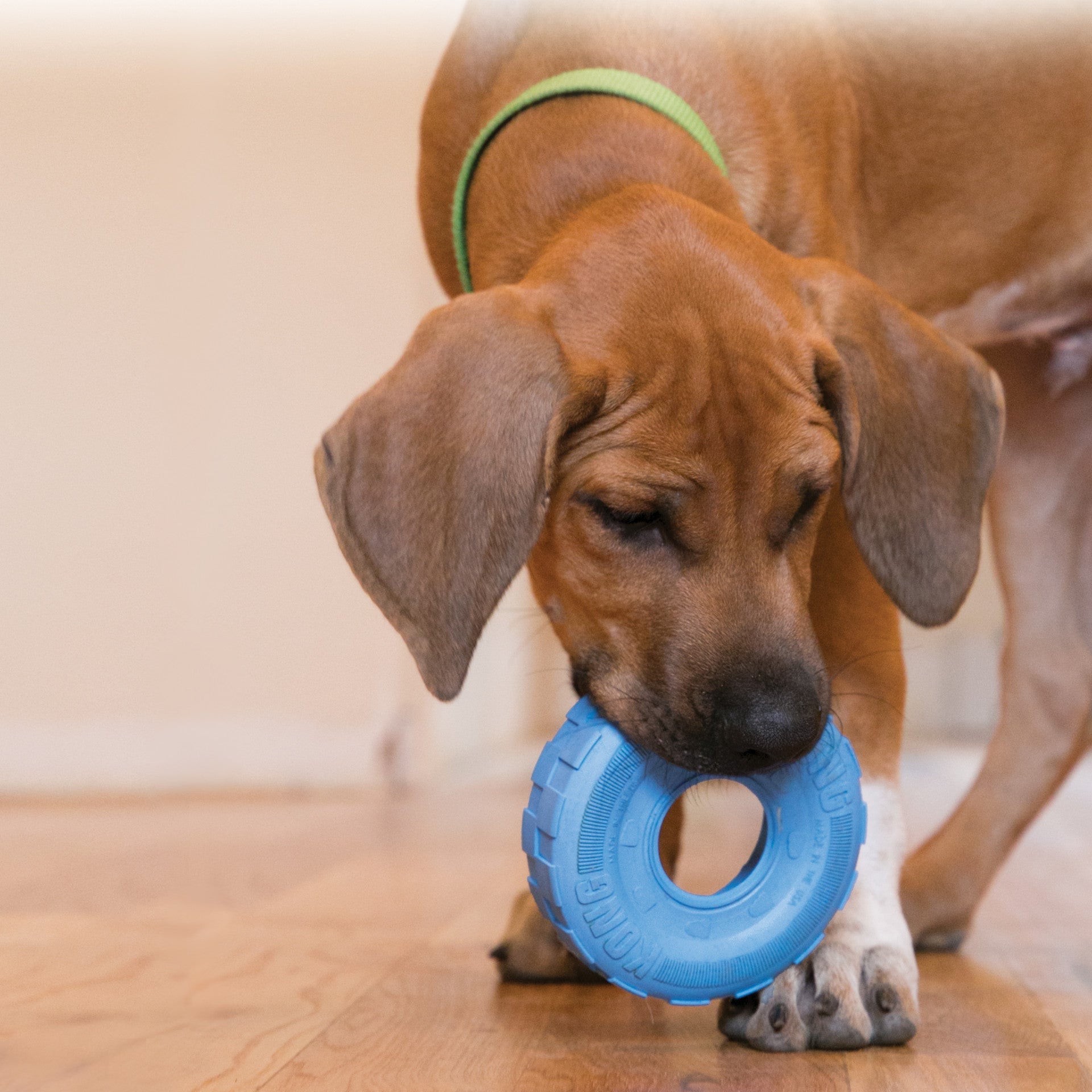 Kong hond Puppy Tyres, small.
