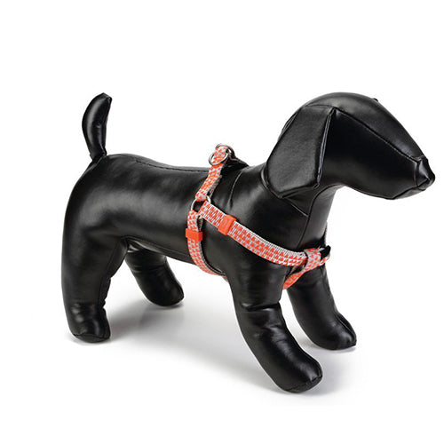 Beeztees Triangle Nylon Hondenharnas/ Hondentuigje - Oranje/ Lichtgrijs - Borstomtrek: 35-60 cm