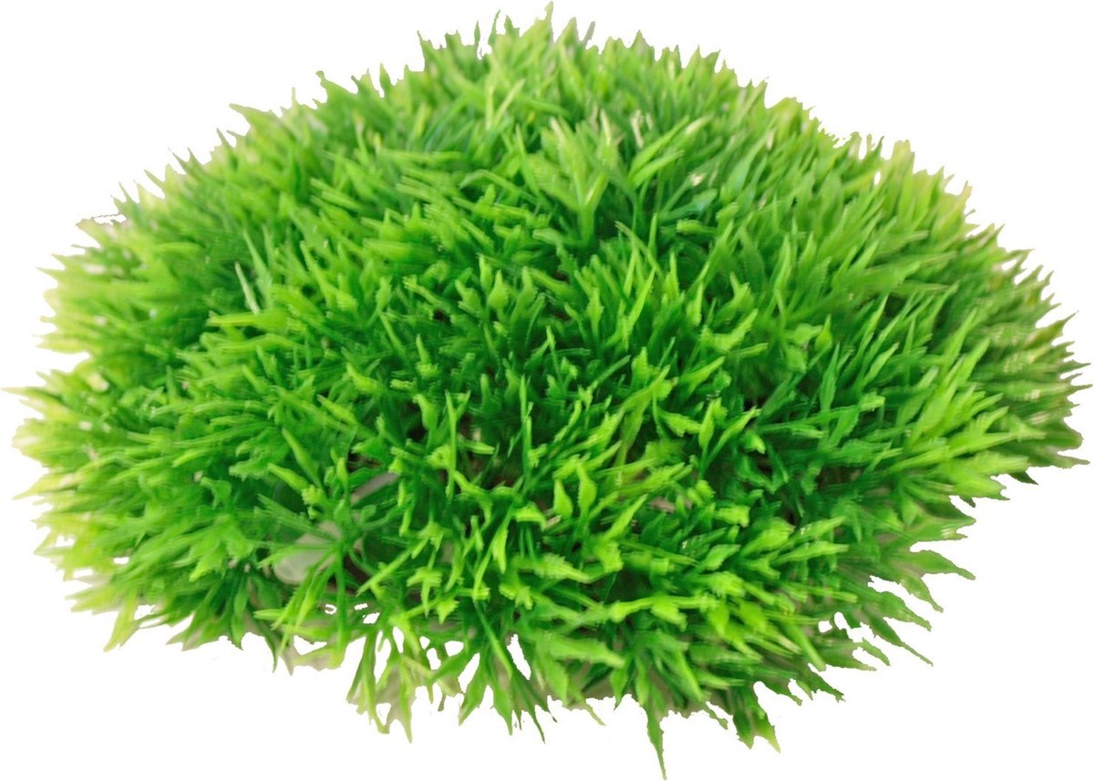 Boon Aqua Deco Bubbel Kunstplant Plastic Green Moss - Met Uitstromer - 14x6 cm