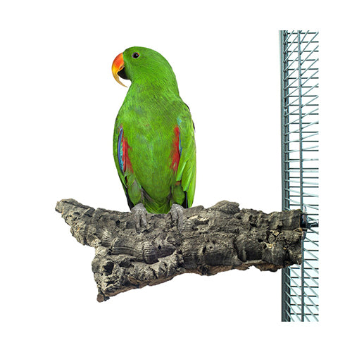 Zurück Zoo Nature Corky Kauspielzeug Groß