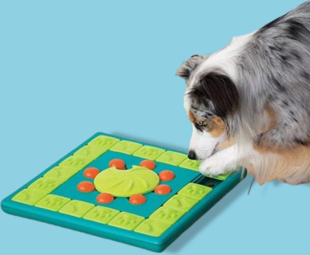 Nina Ottoson intelligentiespeelgoed multi puzzel