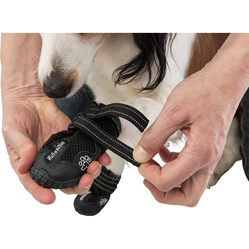 Trixie Walker Active Hondenschoen - Zwart - diverse maten
