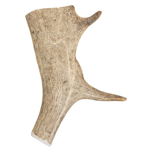 Damhirschgeweihe von Jack und Vanilla